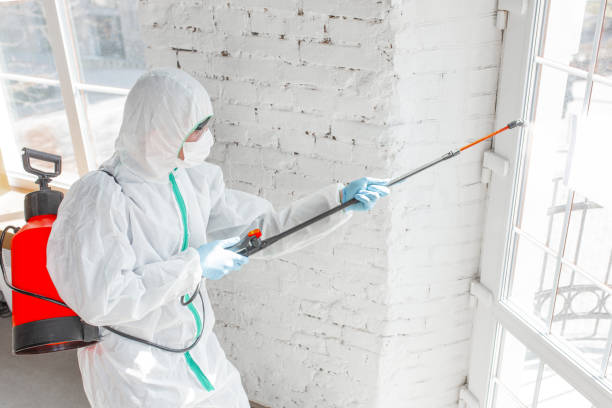 Mold Removal for HVAC Installations in Upper Sandusky, OH